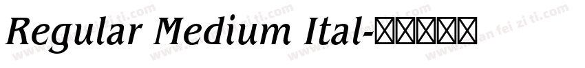 Regular Medium Ital字体转换